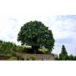 /index.php?m=home&c=View&a=index&aid=149